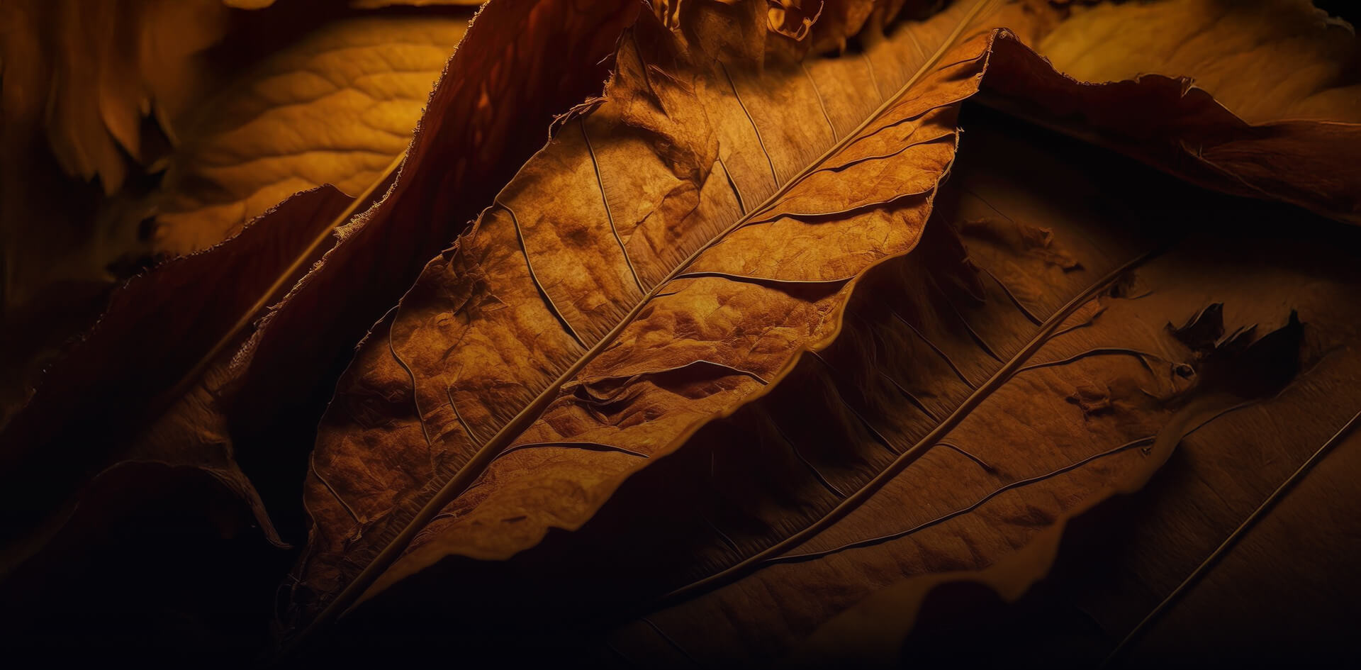 A Guide to Tobacco Vape Flavors